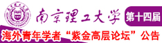 鸡巴捅逼网站南京理工大学第十四届海外青年学者紫金论坛诚邀海内外英才！